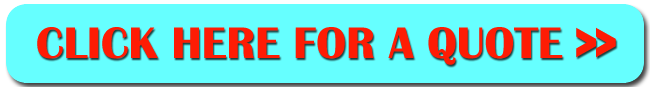 Wasps Nest Removal Quotes in the UK
